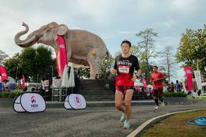 BIB: 
                            <button type="button" onclick="openModal(26529123)" class="btn btn-primary btn-sm float-right btn-popup" data-toggle="modal" data-target=".modal-high-quality">
                        <i class="fas fa-shopping-cart"></i> Add to Cart
                    </button>
                                            <button type="button" onclick="isThisMe(26529123, true)" class="btn btn-success btn-sm float-right btn-popup btn-isme hidden" data-toggle="tooltip" data-placement="bottom" title="นี่คือรูปของคุณใช่ไหม คลิกที่นี่เพื่อเอาเข้าอัลบั้ม">
                        <i class="fas fa-plus"></i> Add to album
                    </button>
                    <button type="button" onclick="isThisMe(26529123, false)" class="btn btn-warning btn-sm float-right btn-popup btn-isnotme hidden">
                        <i class="fas fa-ban"></i> Remove from album
                    </button>